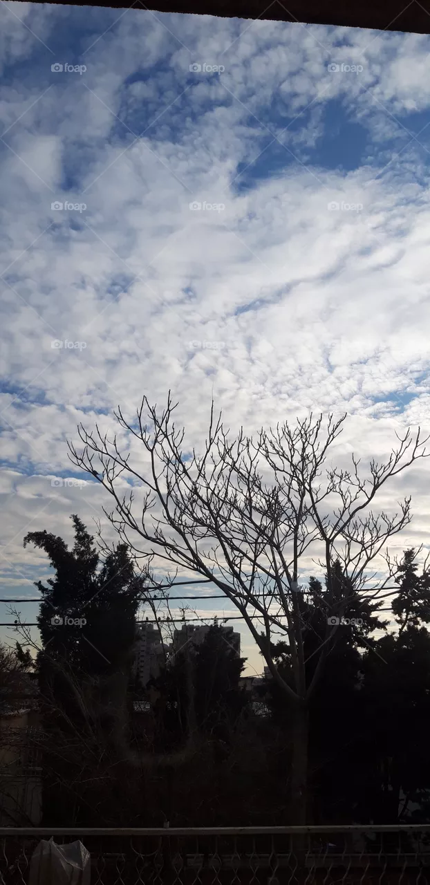 sky