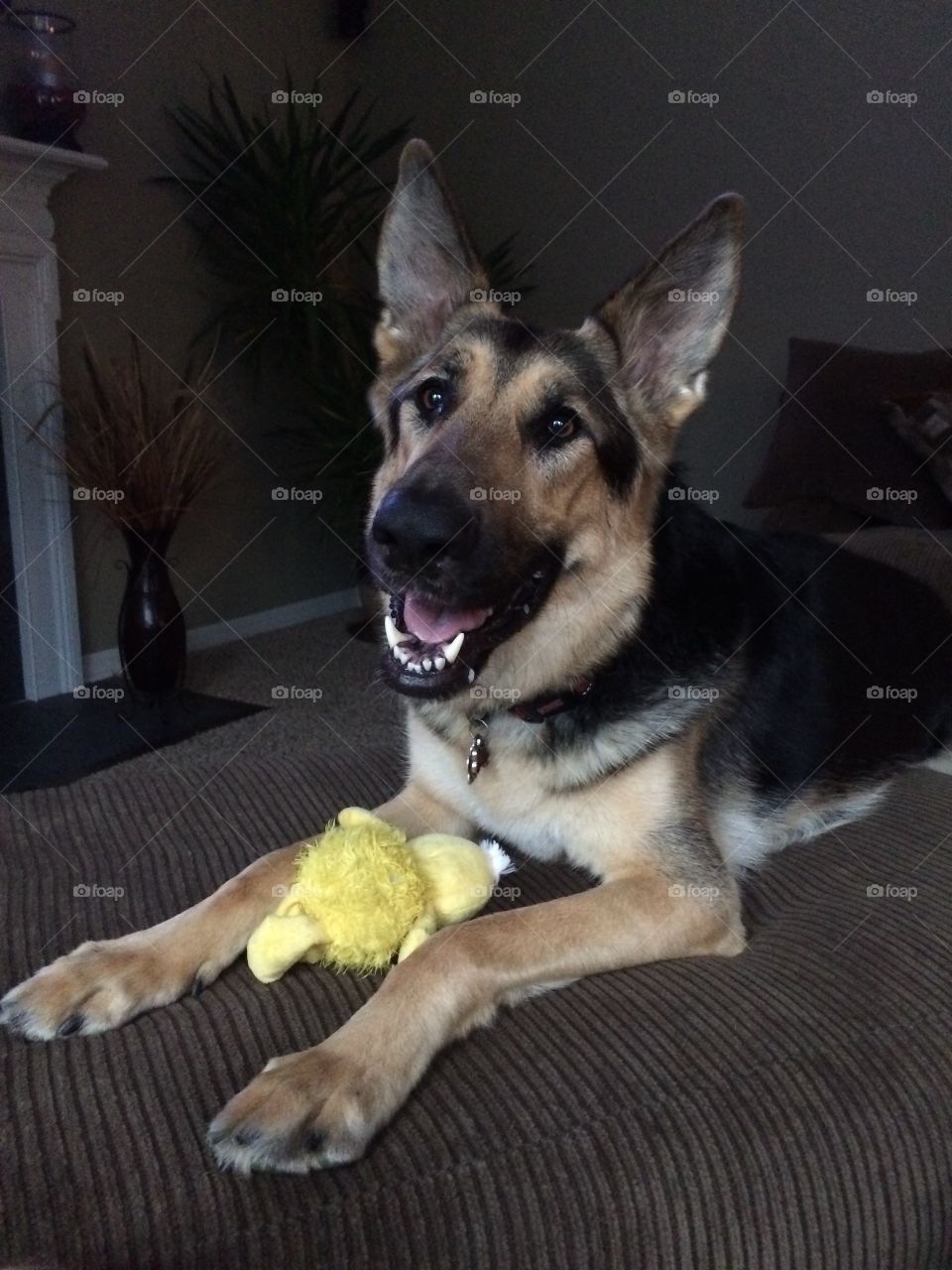 For Easter I got a ducky, do you want to play?