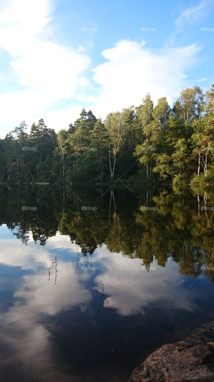 Forest reflected in a lake in Sweden 