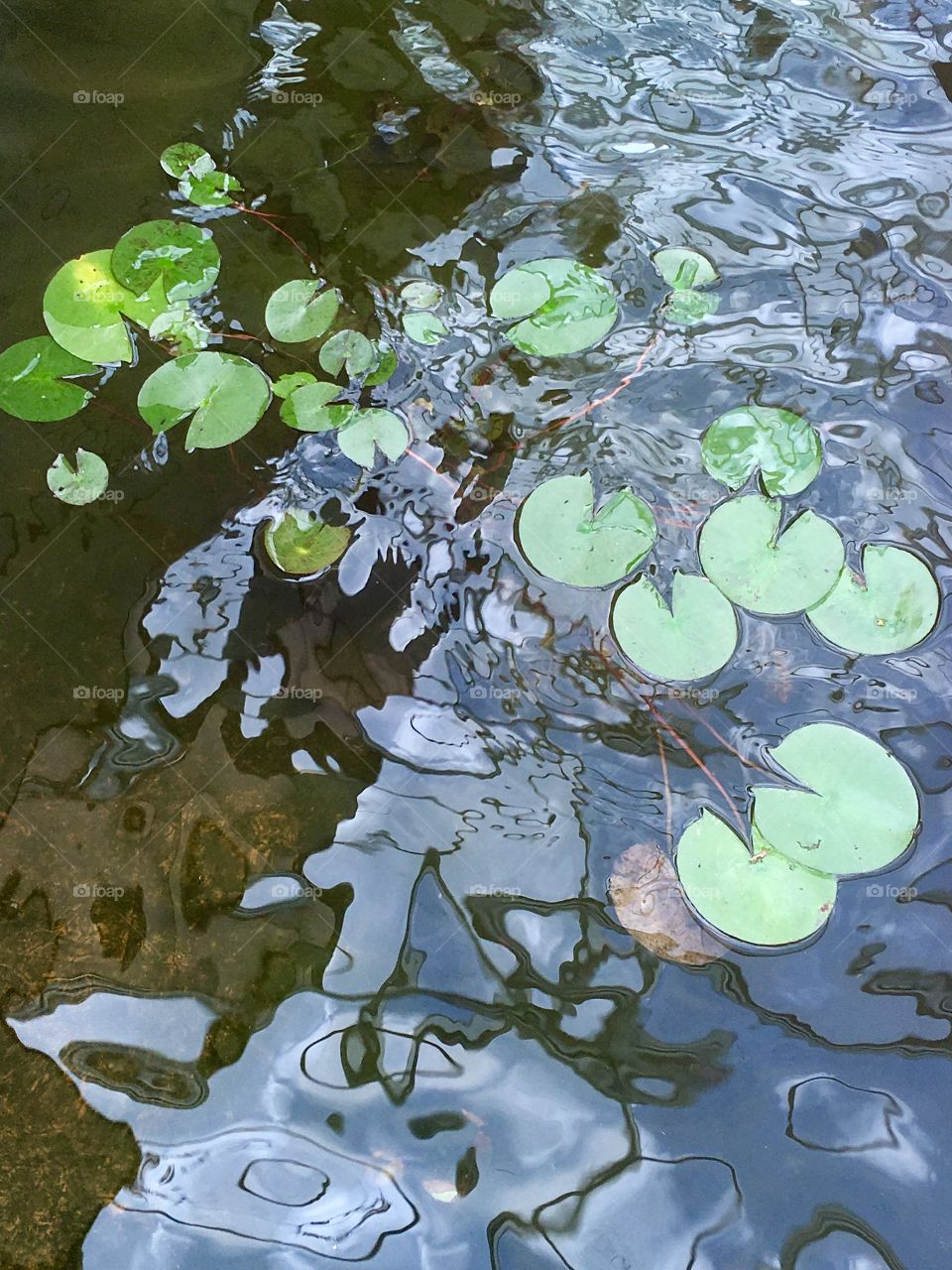 Rain and water reflexion 