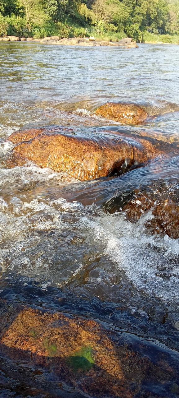 kalani river Sri Lanka