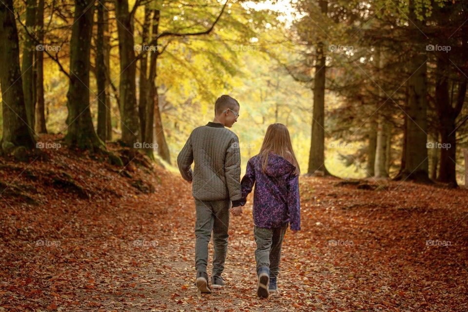 A beautiful walk in the forest. Siblings walks holding hands, the do not fight all the time