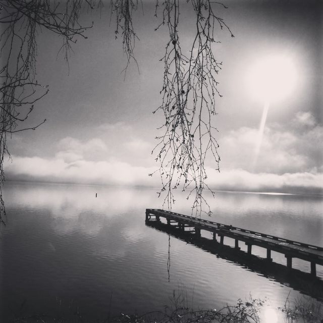 Dock