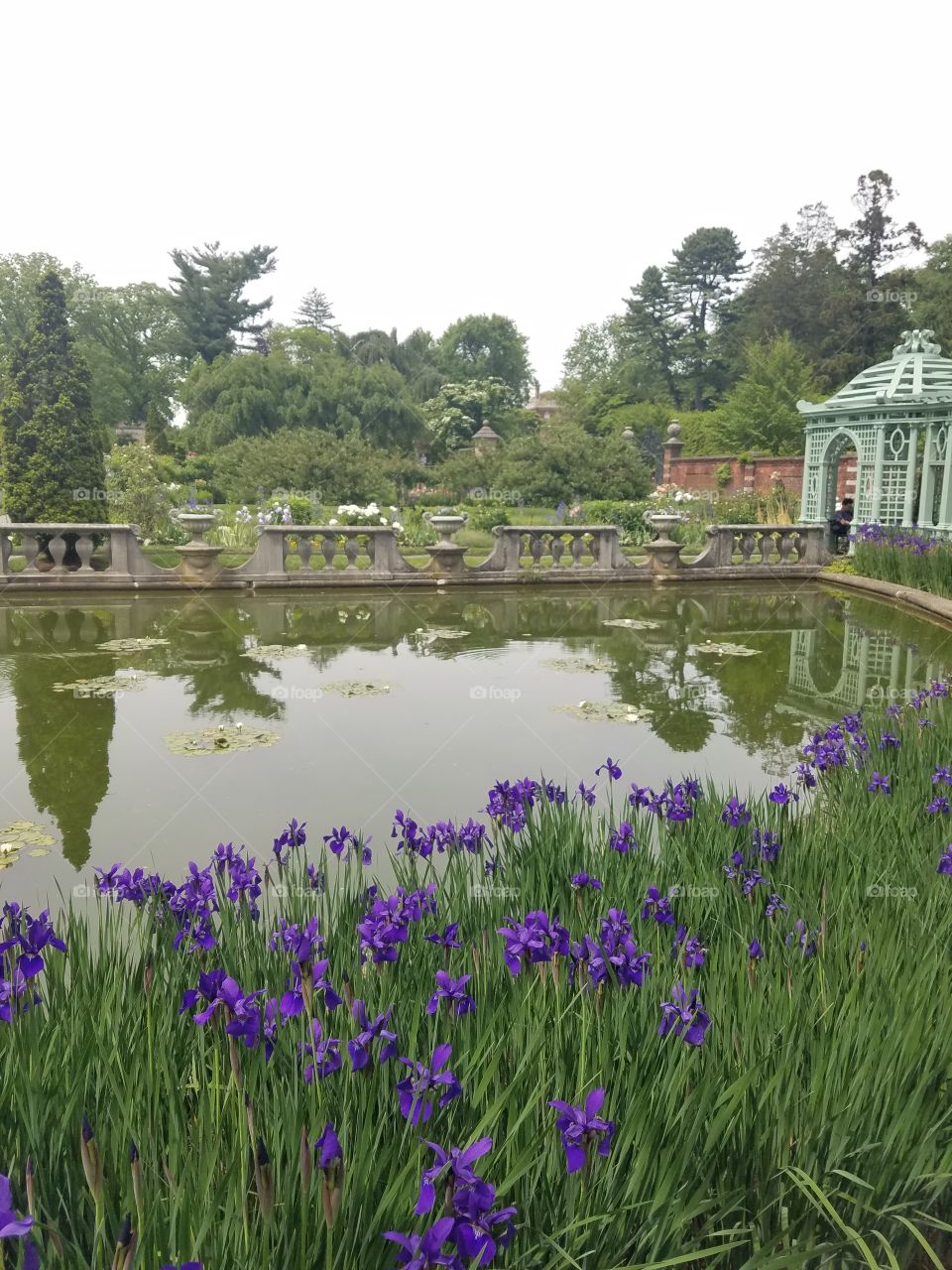 Water, Garden, Lake, Summer, Reflection