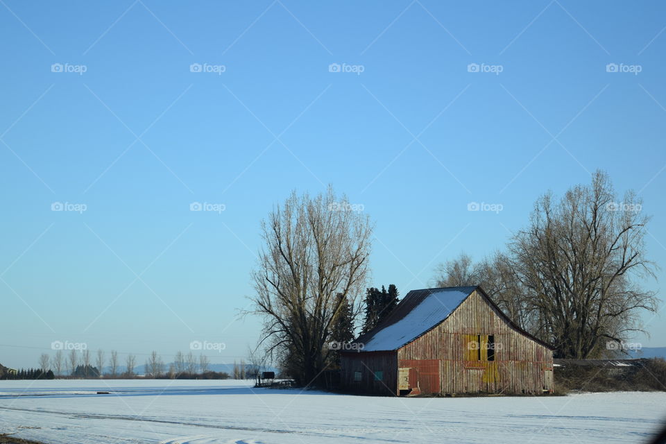 barn