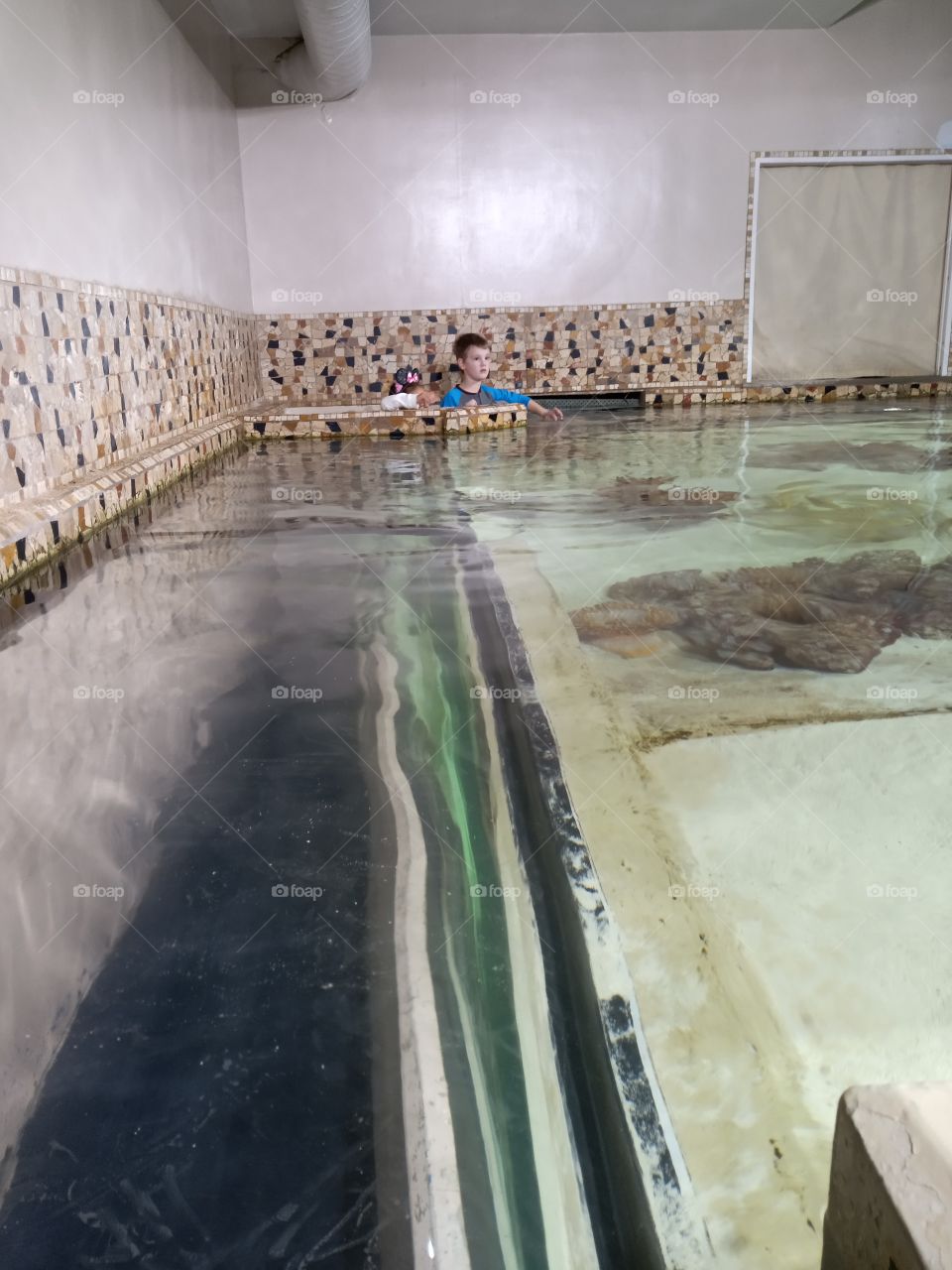 aquarium stingrays and boy