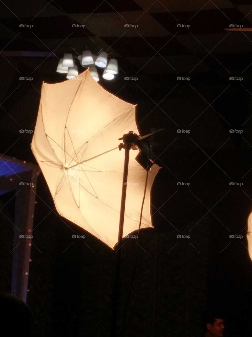 Umbrella stopping direct light