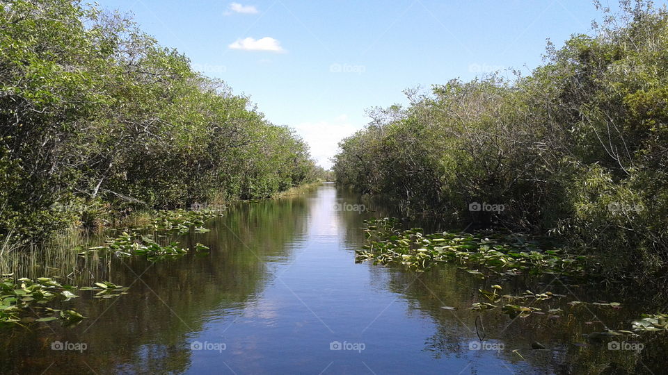 Canal in the Everglades, Fl. USA