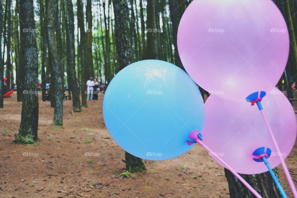 Three Balloons. 
This photo was taken in the Dlingo Pine Forest, Yogyakarta, Indonesia.