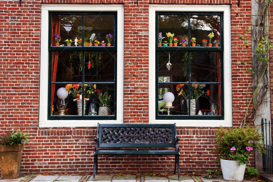 countryside windows in Netherlands