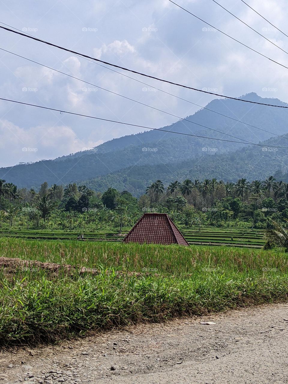 scenery in the countryside