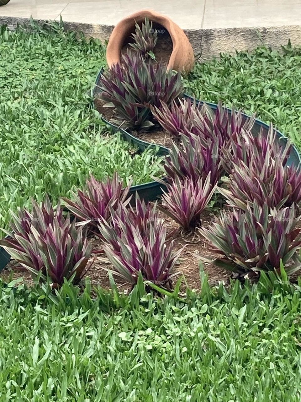 Simulação de vaso caído do qual saíram diversas folhagens avermelhadas. Folhas coloridas formam caminho que chega ao vaso.
