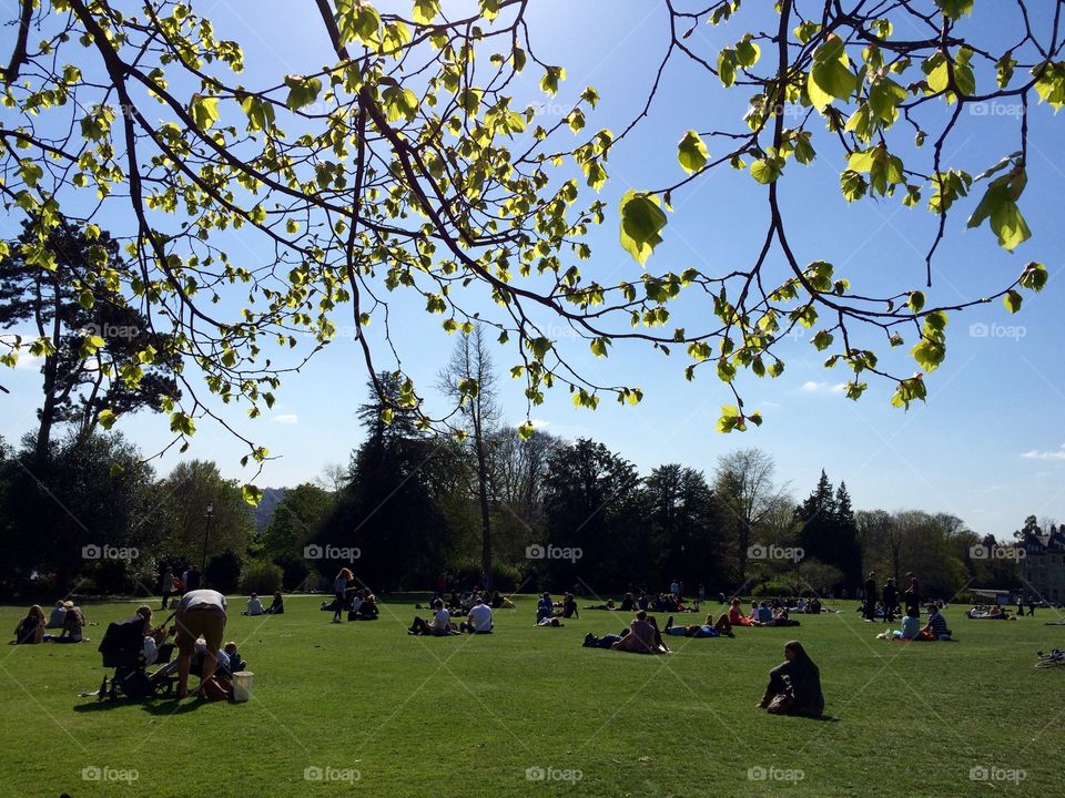 Splendid Springtime. People enjoying the lovely Spring weather