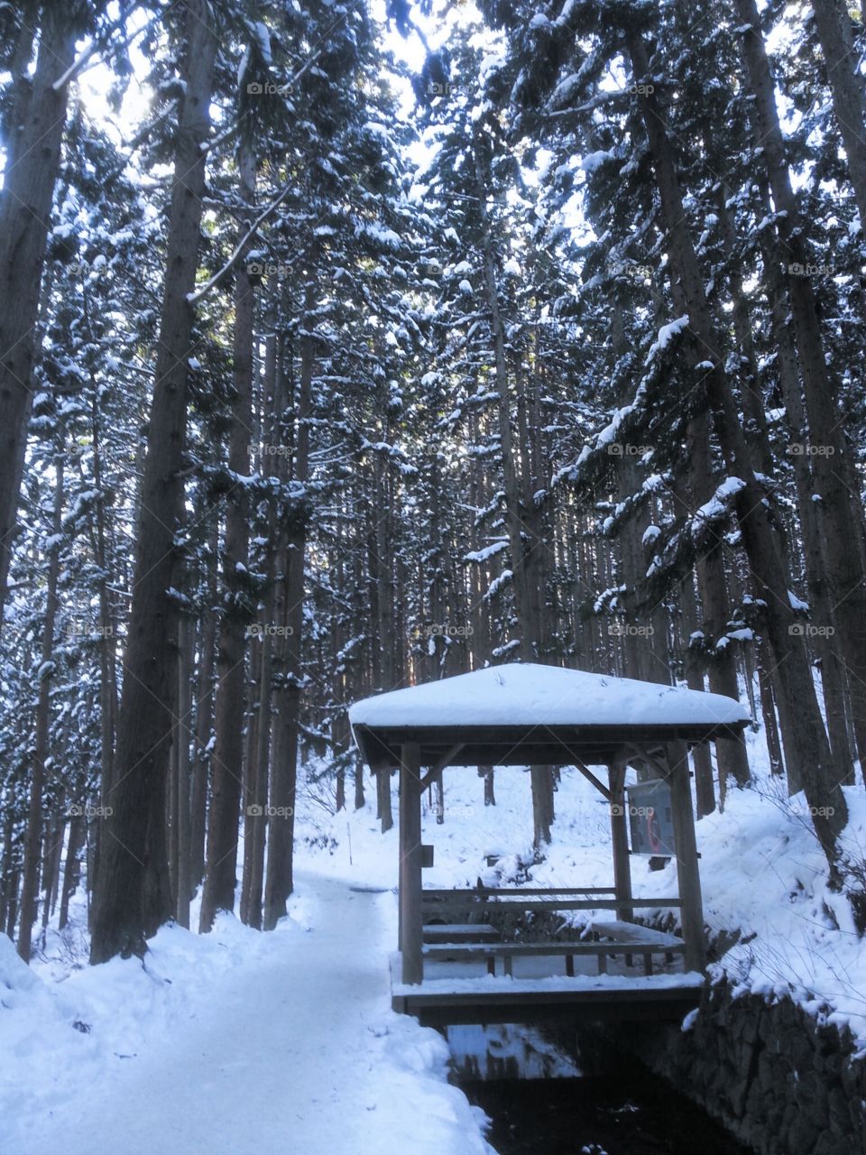 Gazebo covered with snow in the forest