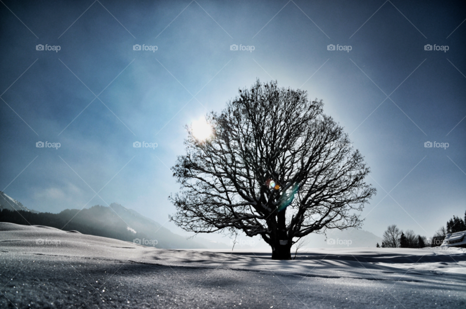 snow sky mountain tree by piet05