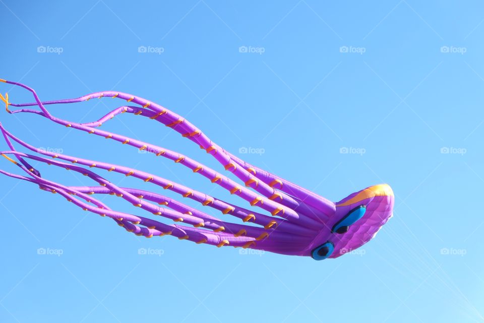 Huge purple octopus kite flying
