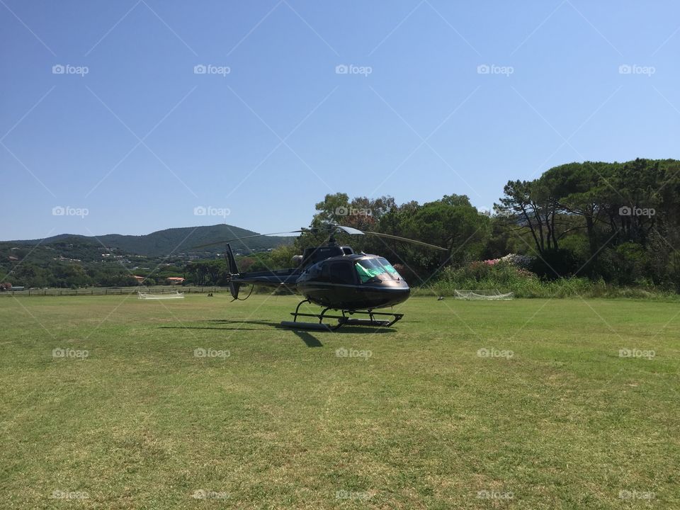 Landscape, Grass, Tree, Travel, No Person