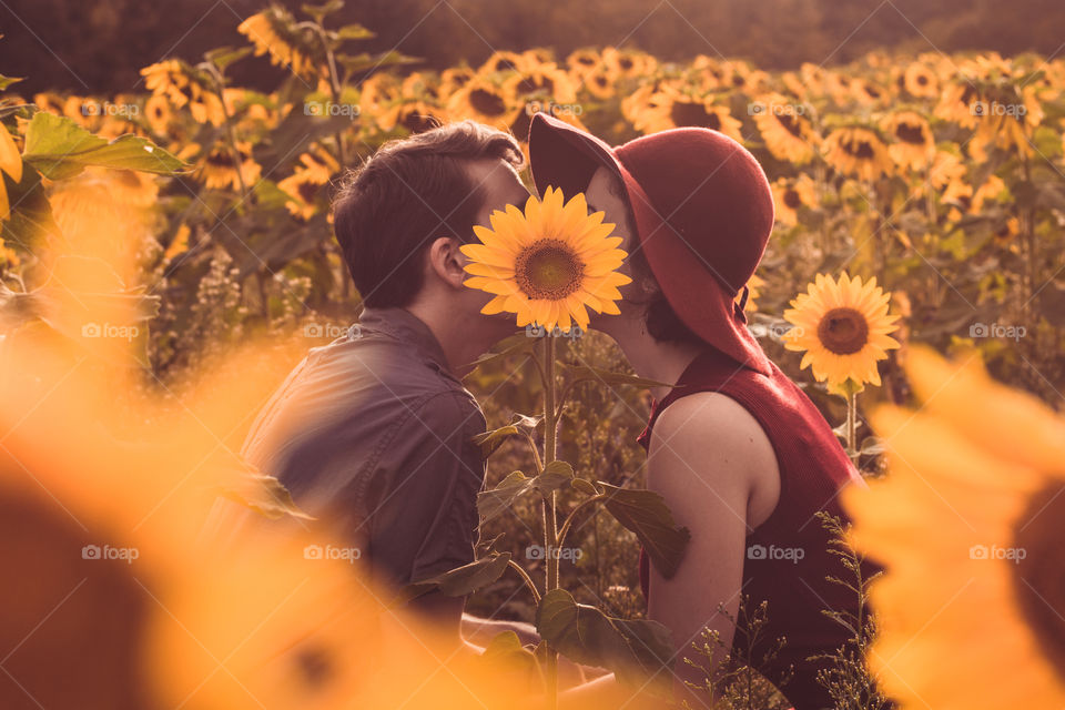 A couple sneaks a cute kiss behind a sunflower in a field during summer golden hour