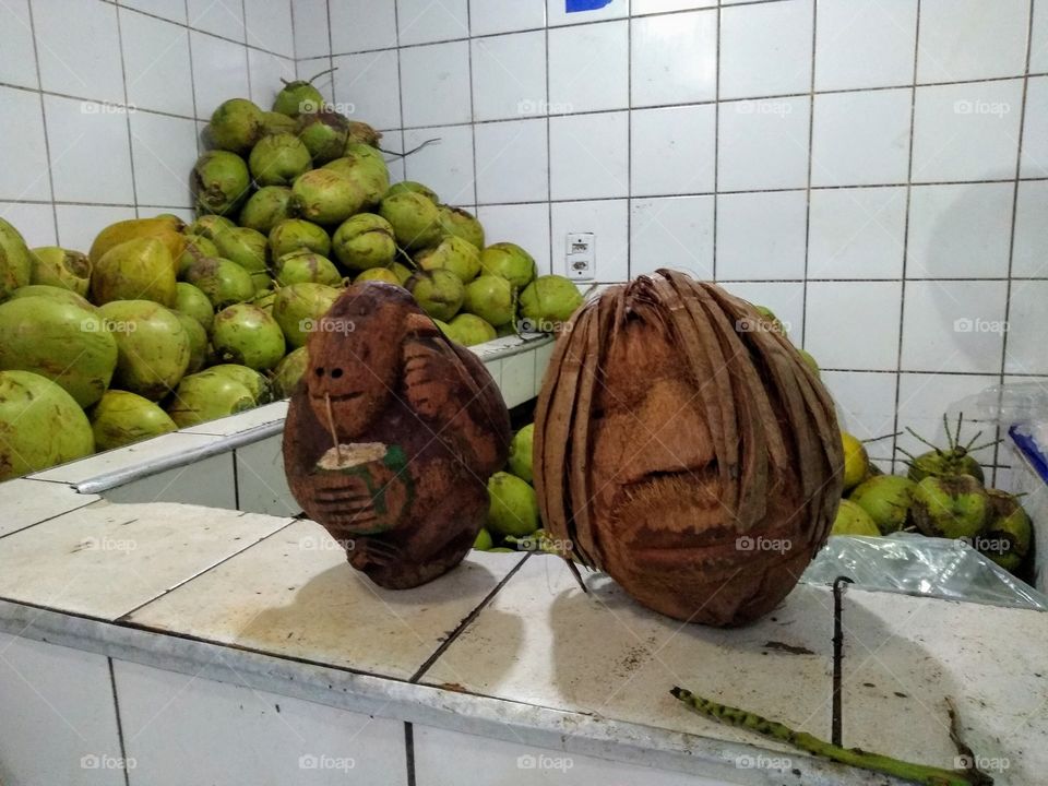 escultura em coco seco