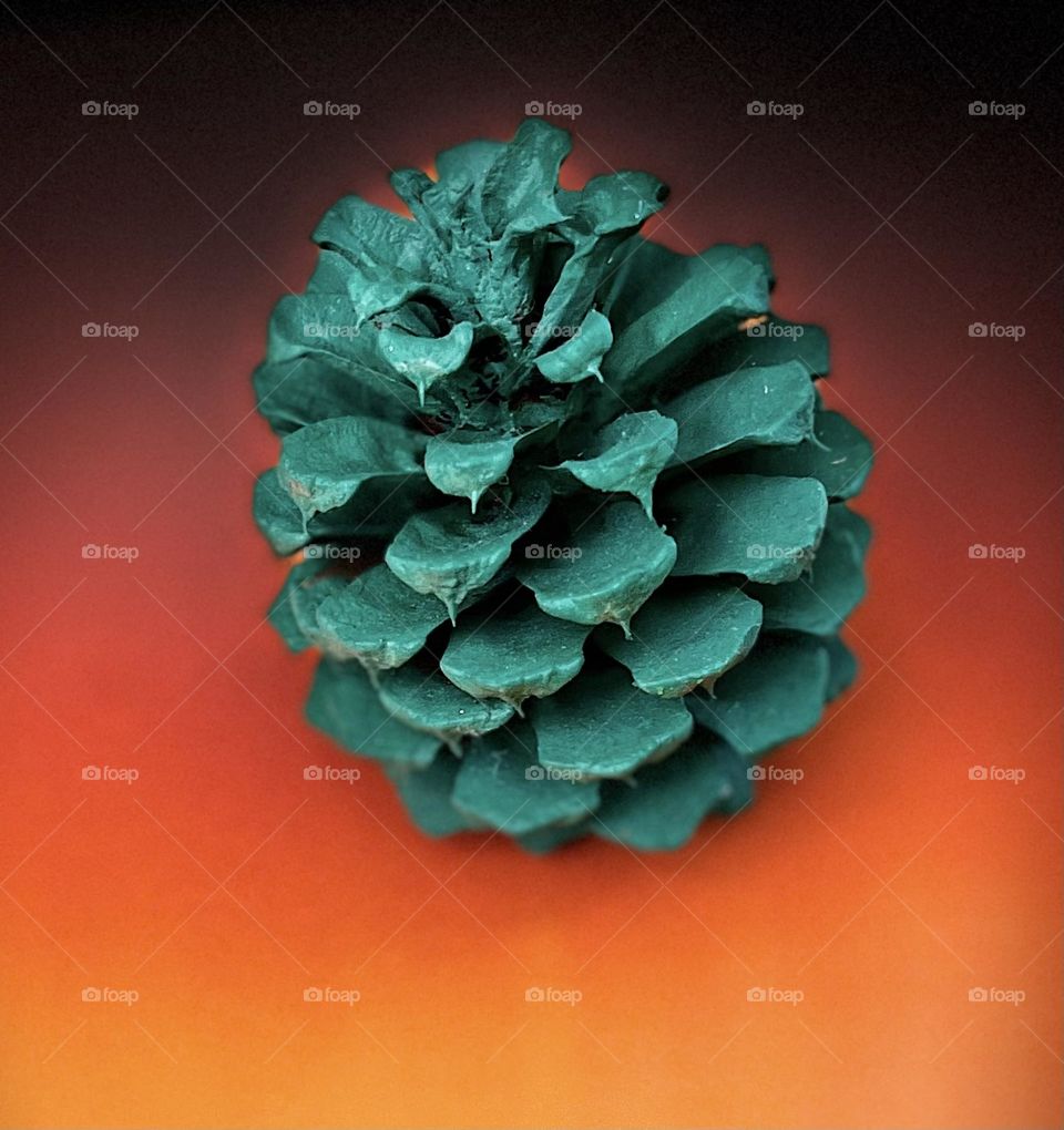 Green Pine Cone