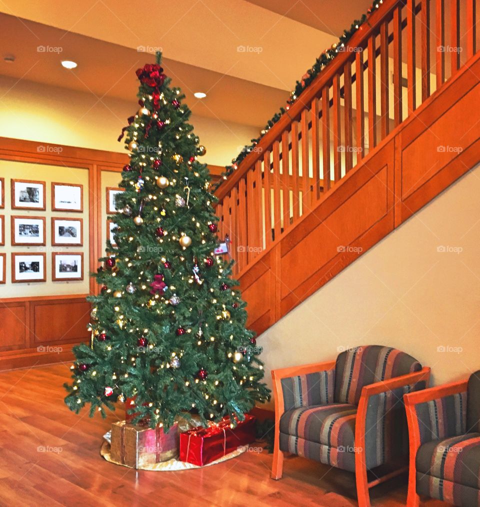 Christmas tree and banister