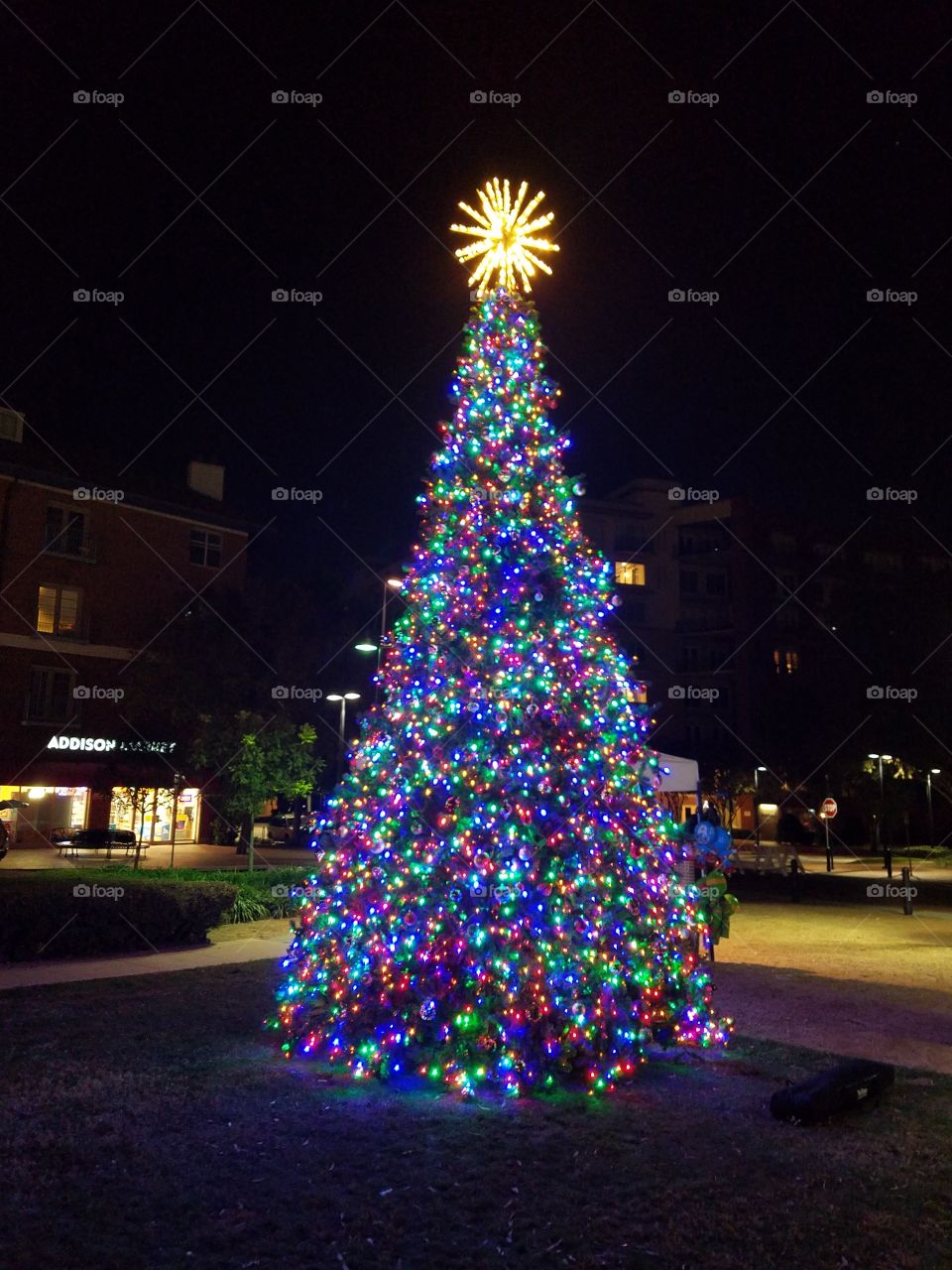 Christmas Tree Lighting at Addison Circle
