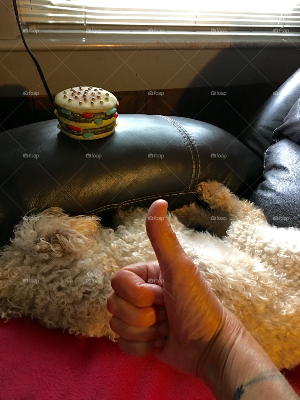 Let sleeping dogs lie, especially if they bite. 