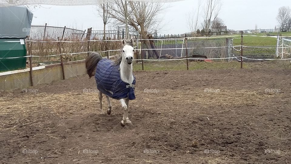 Marcus outside enjoy, the netherlands
