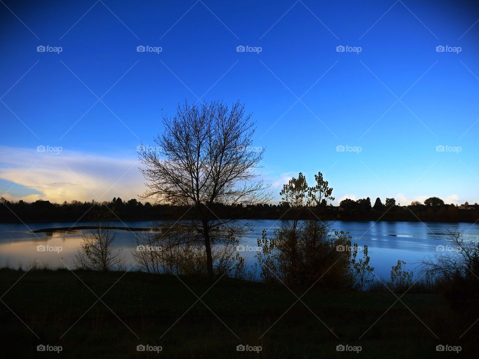 Dawn, Landscape, Lake, Tree, Reflection