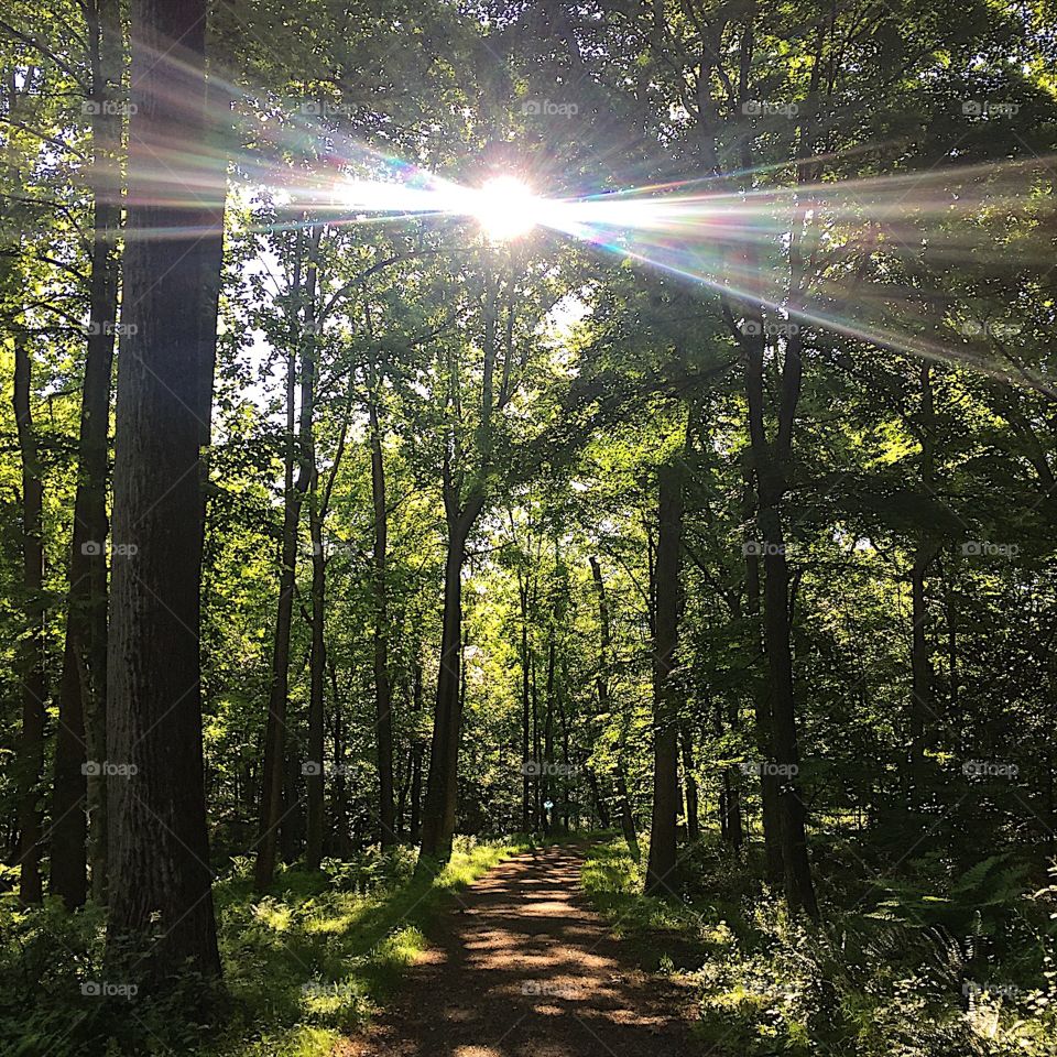 Back into the woods this weekend and some much needed Vitamin N 