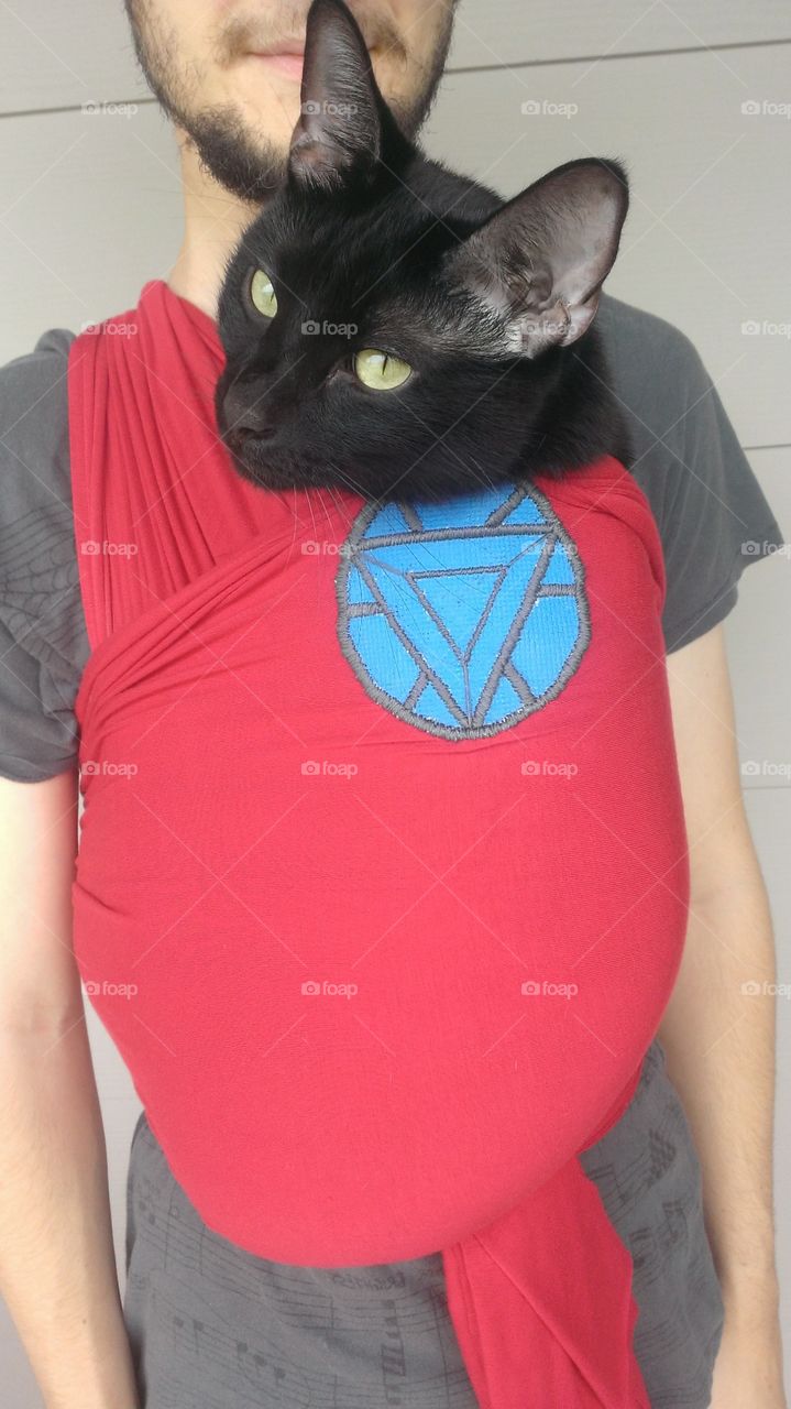 Cat in a baby carrier. I made this baby carrier while pregnant and we had to try it out but were without a baby...