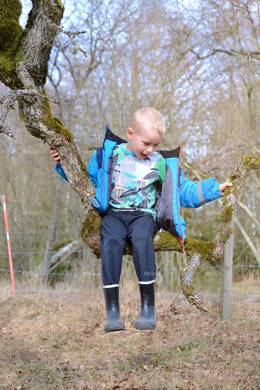 Boy sitting on a tree branch