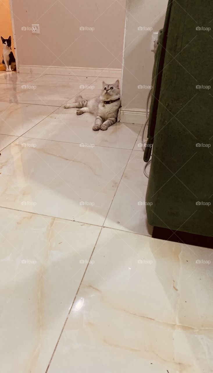 Beautiful day with zainh 