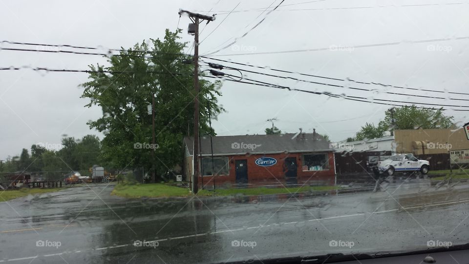 rainy day. summer rain