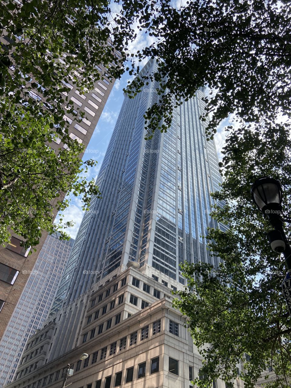 A view of a very tall glass and steel building surrounded by trees taken from underneath and looking upward