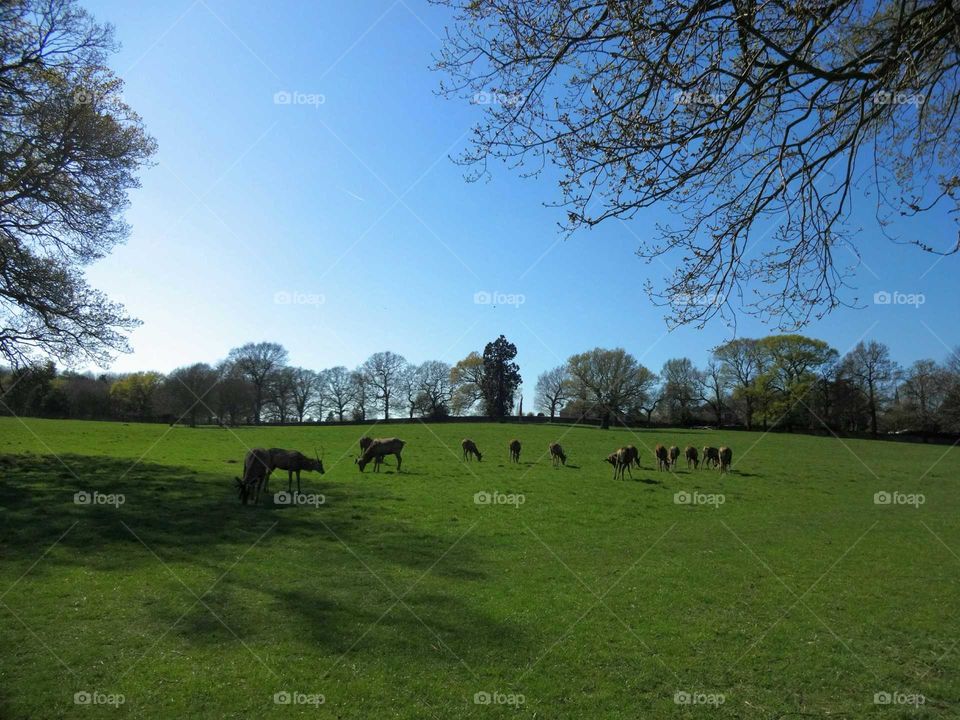 wild nature landscape