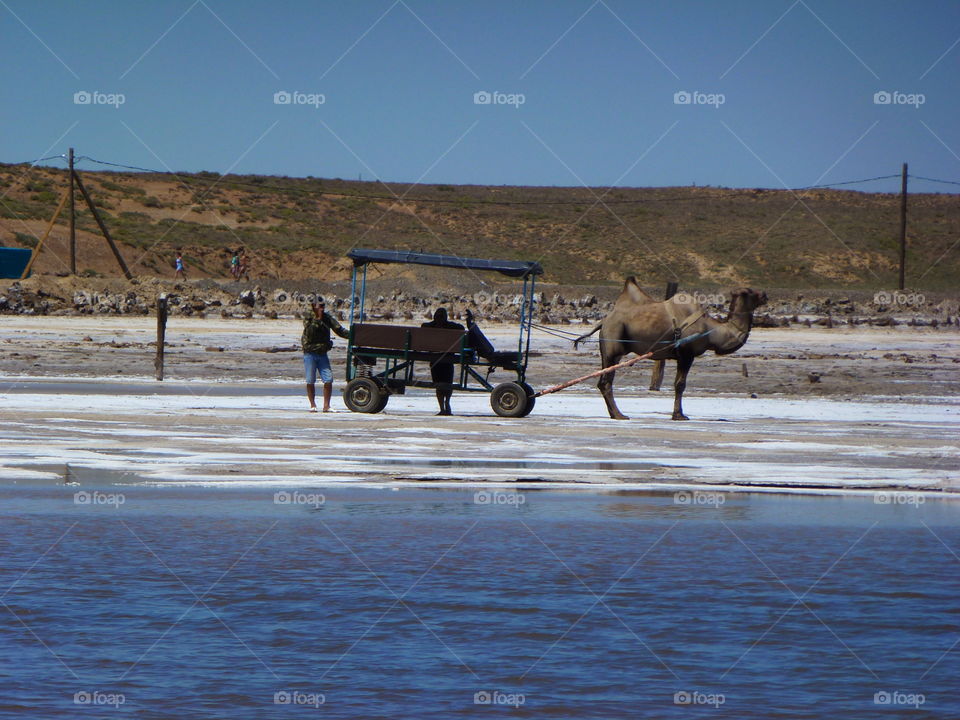 Salty Lake Baskunchak