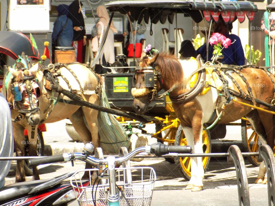There seemed to be a bicycle parked in the crowd
