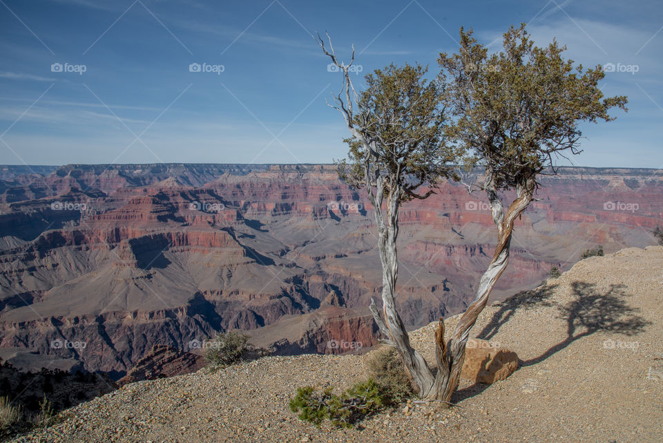 Grand Canyon with a little perspective