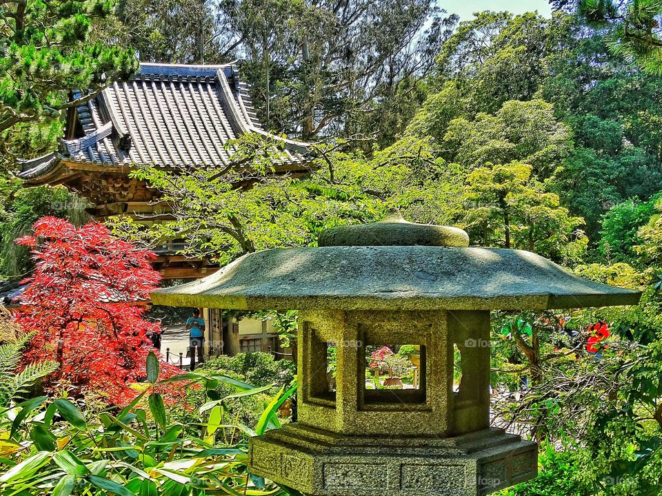 Japanese Tea Garden. Tranquil Setting Of Japanese Tea Garden With Shinto Shrine
