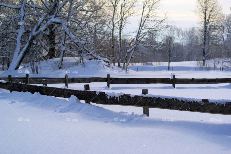 Winter, Snow, Cold, Frozen, Frost