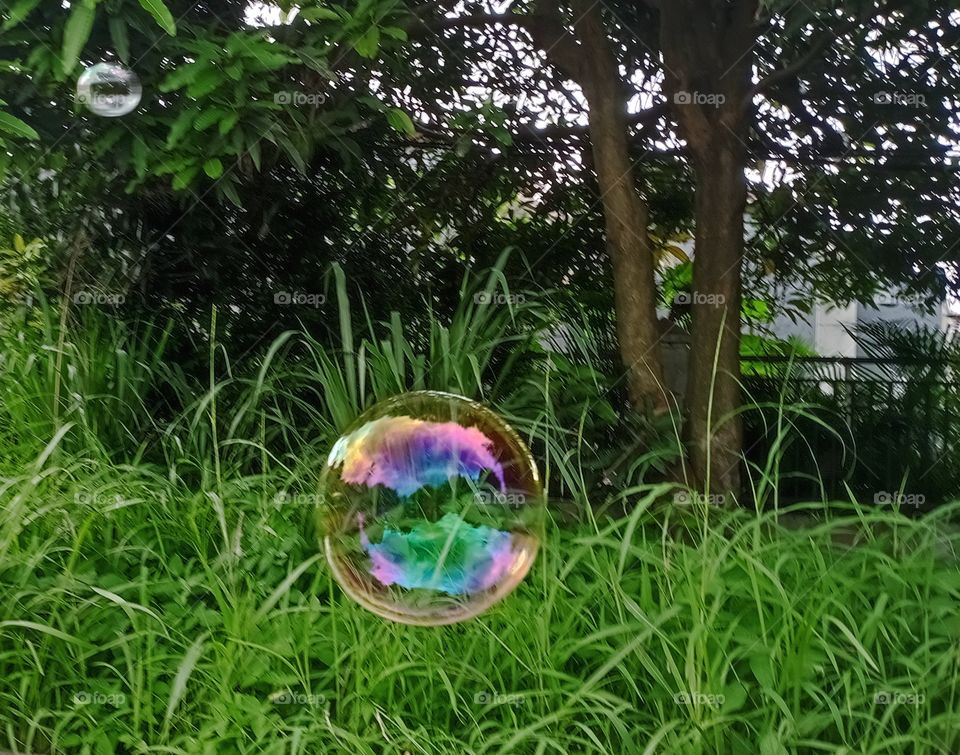 bubble...