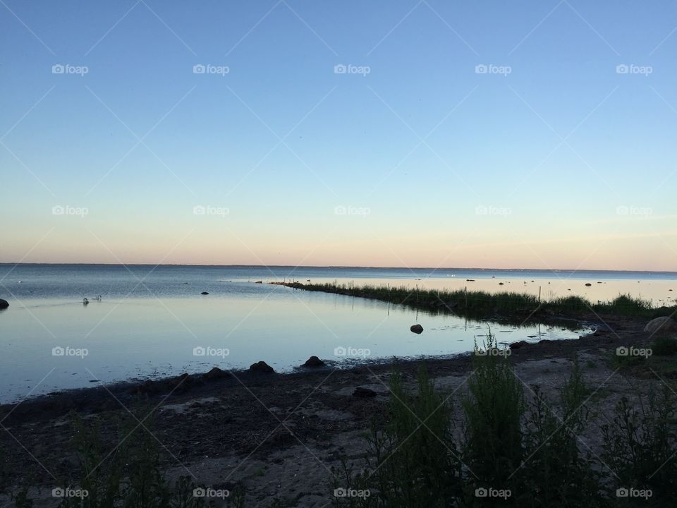 Catched at todays walk 