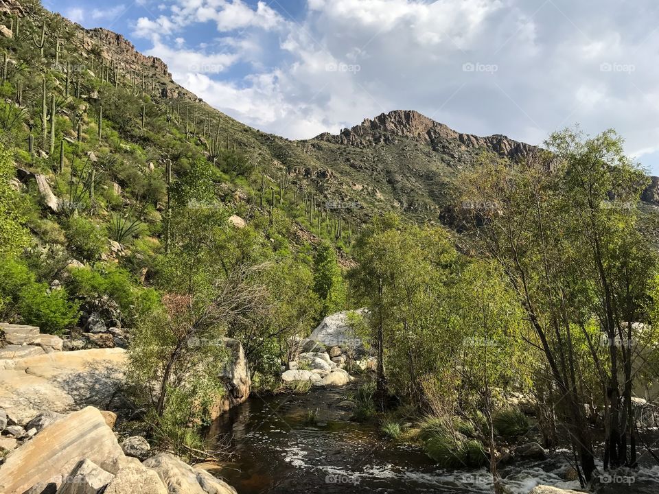 Nature Mountain Landscape - Sabino Canyon in Tucson, Arizona 