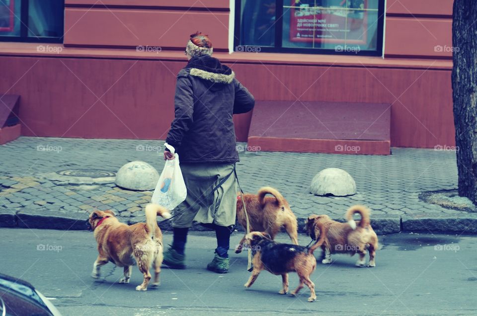 Women walk with her dogs