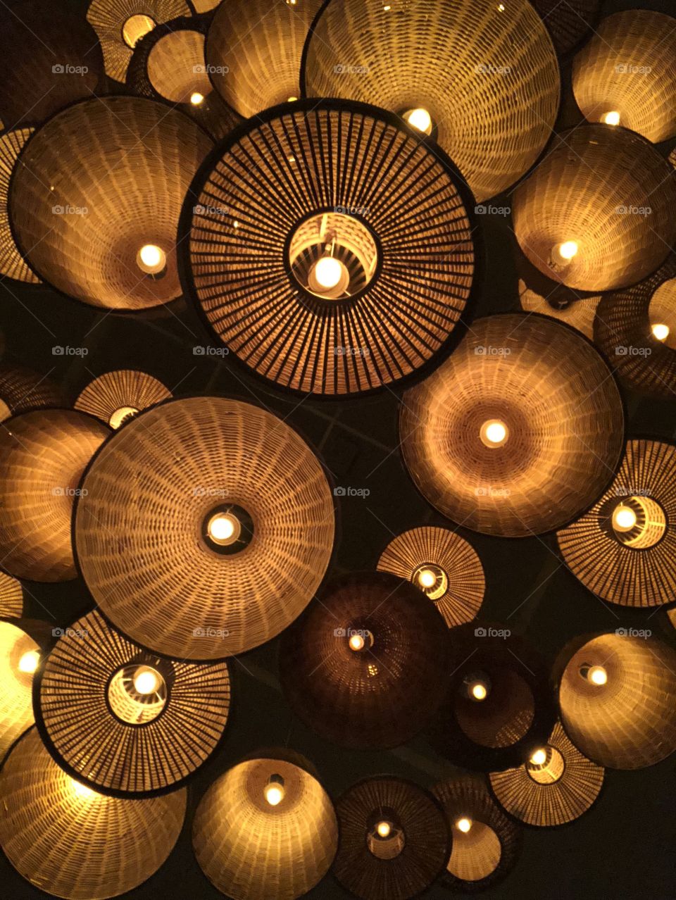 Looking into the light. Light and shadows. 