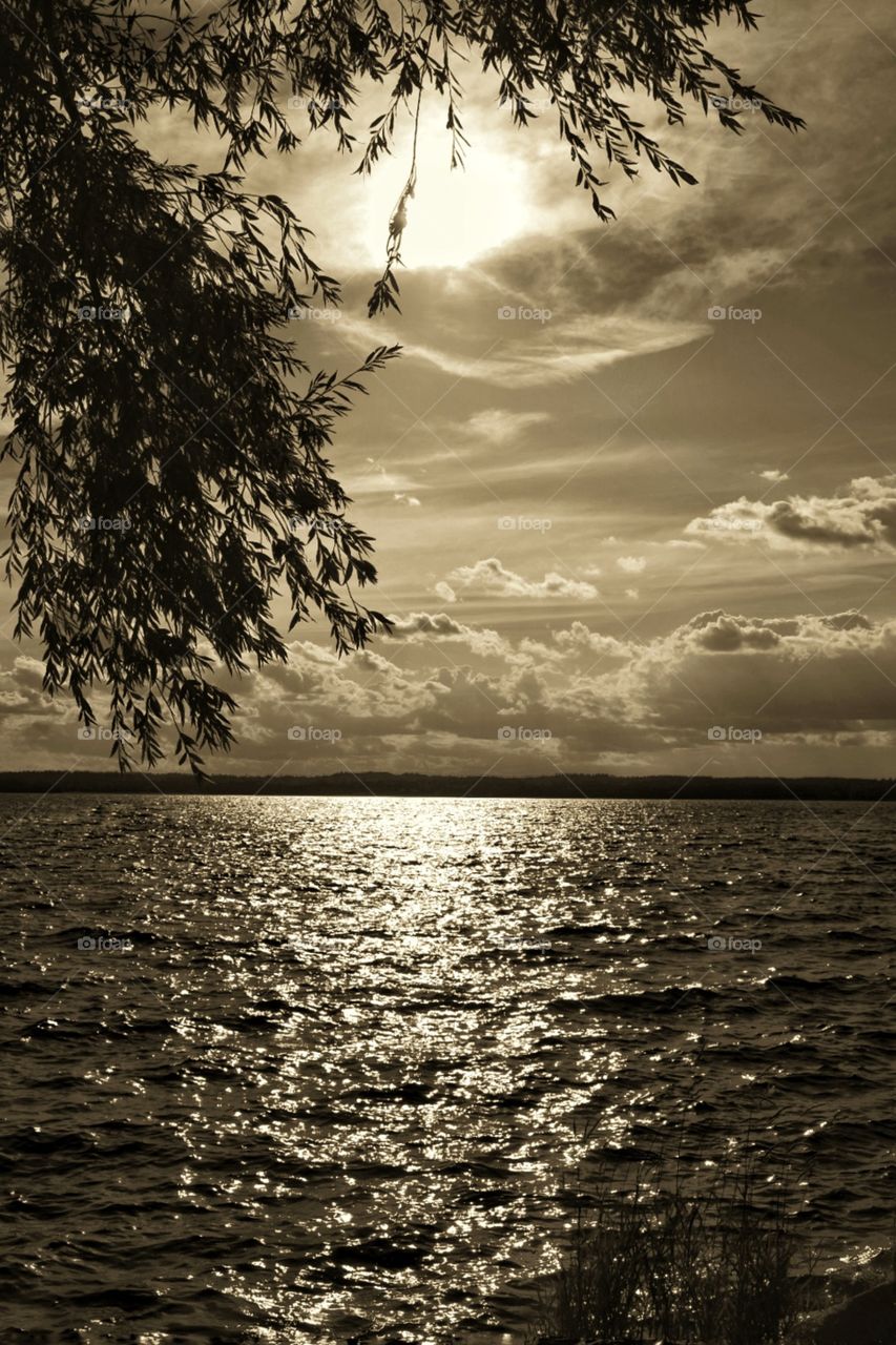 Magic night and beautiful moonlight