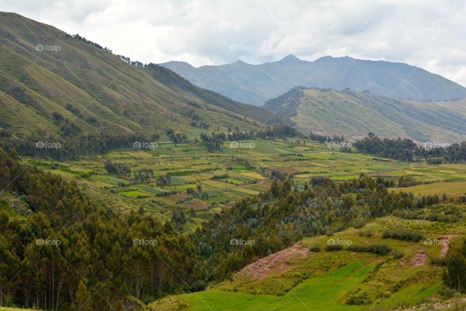 Peruvian Valley