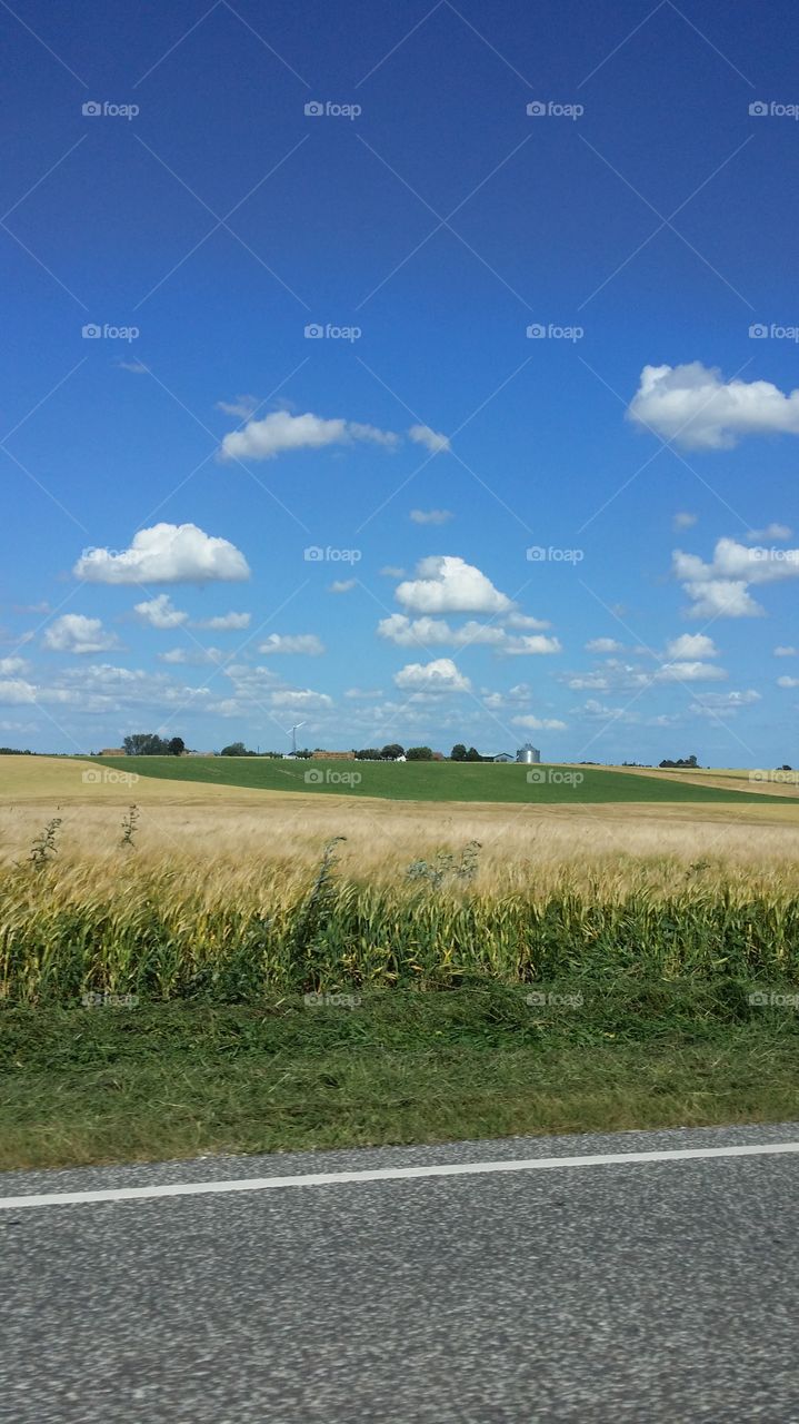 fields and clouds