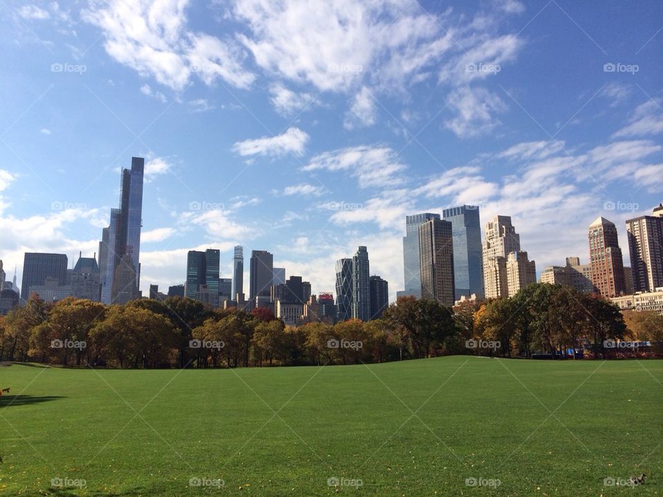 City view from the park.